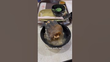 Turtle Soup in Singapore🐢