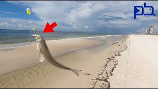 How To BAIT Your HOOKS When SURF FISHING. Perdido Key, Florida.
