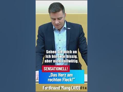 Das Herz am rechten Fleck YouTube