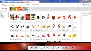 ImageDiretor File Sharing Tutorial
