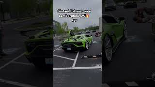 Lambo svj with gintani exhaust revving #lamborghini #gintani #viral #carcommunity #fyp  #exoticcars