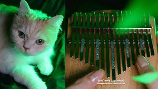 Saria's Song (Lost Woods), The Legend of Zelda : Ocarina Of Time - Kalimba cover.