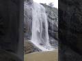 Kolli hills Aagaya gangai falls | #preenothexplorer #tamilshorts #tamilbgm #fallseason #kollihills