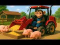 Monkey Farmer Cleans Pig Pen and Process of Grinding Feed for Pigs - Farm Work | Echo Toon