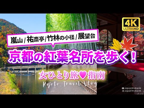 【4K絶景】#京都嵐山 #祐斎亭 見どころ・予約方法 アクセス🍁2024秋の紅葉５選🍁紅葉めぐりモデルコース🍁 #嵐山 #竹林の小径 #嵐山公園 / 展望台 / #渡月橋 #女子ひとり旅