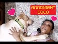 My little baby, Coco fell asleep. So, Mum gives him goodnight cuddles & hugs. Watch till the end💖💖💖💖