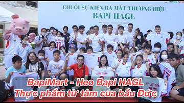 Bầu Đức trình làng thịt heo ăn chuối Bapi HAGL và siêu thị BapiMart - Thực phẩm từ tâm