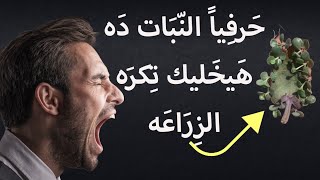 من أكثر النباتات السامه | نبات الشيطان npk