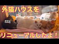 【真冬対策】外猫ニャンズが家猫のように暮らせる場所を作る！