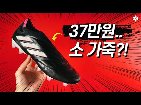 &amp;#39;37만 원&amp;#39; 소가죽 축구화 등장 🤑