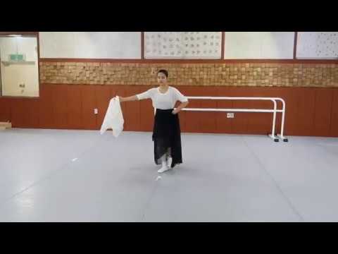 [PRACTICE] KOREA TRADITIONAL DANCE /이매방류 살풀이춤 정정윤 