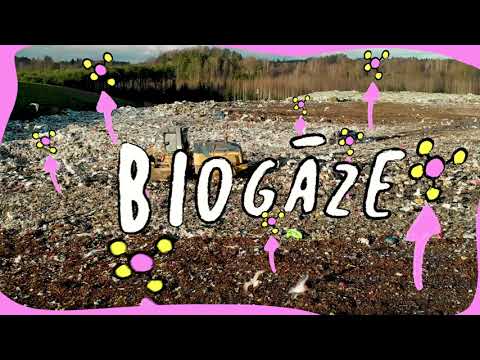 Video: Vai automašīnas var darboties ar biogāzi?