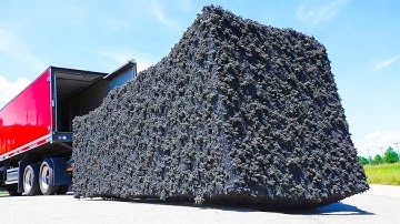 Scientists Released Genetically Modified Mosquitoes — And What Happened Next Terrified the World