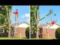 Idiots With Chainsaws: Tree Cutting Fails | Extreme Dangerous Logging Truck Fails #53