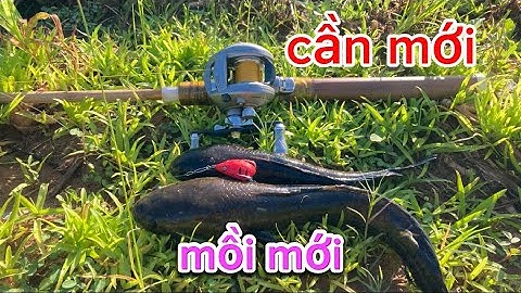 câu cá lóc | thử combo mới | rong chơi miền tây #lurecaloc #sonrau #fishing