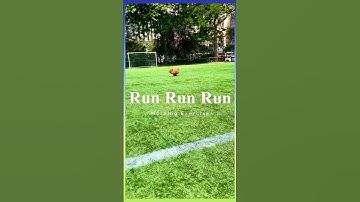 Morning Exercise RUN PUDS #shortsclip #youtube #dog #cutepet #fyp #lol #running #exercise #morning