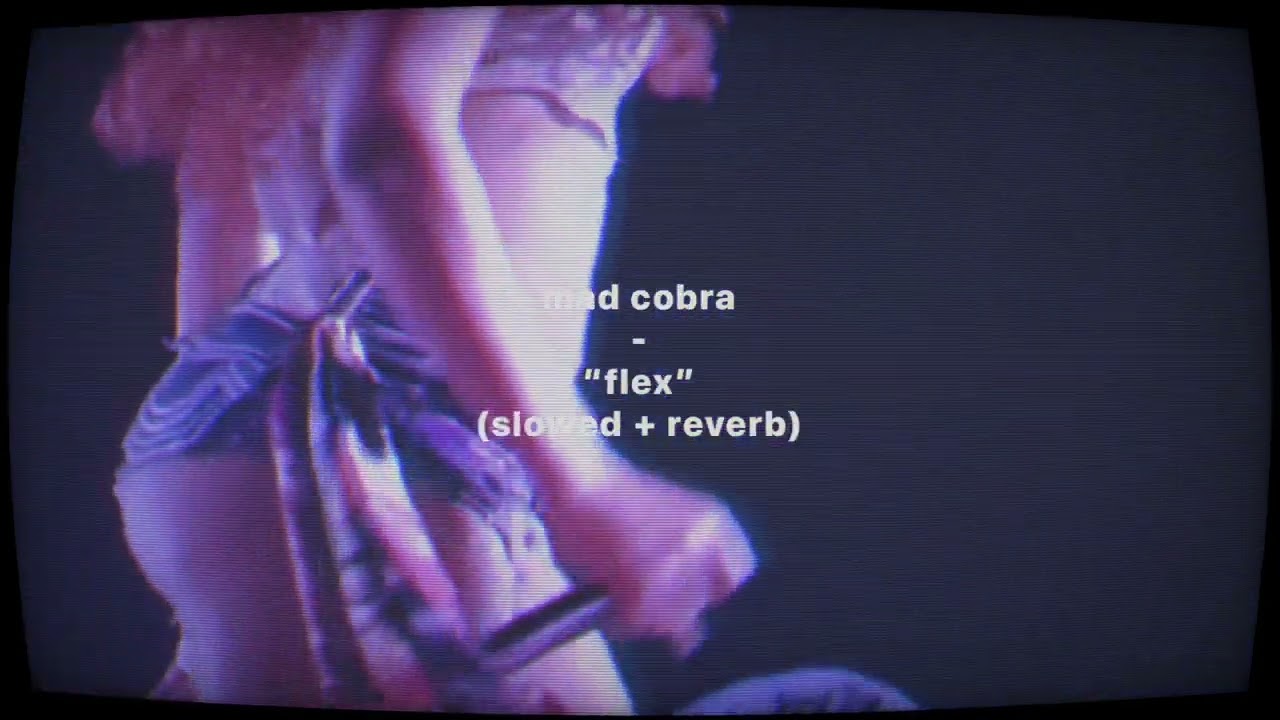 𝐦𝐚𝐝 𝐜𝐨𝐛𝐫𝐚 - 𝐟𝐥𝐞𝐱 (𝐬𝐥𝐨𝐰𝐞𝐝 + 𝐫𝐞𝐯𝐞𝐫𝐛)