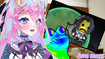 ━☆NEKO REACTS━☆ WHERE