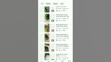 #google #techzpandit #tech #monetization #earning #freefire #technicaldausa