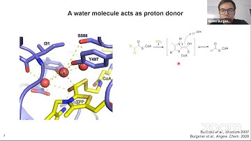 Simon Burgener – Expanding the one-carbon chemistry of thiamin-dependent enzymes