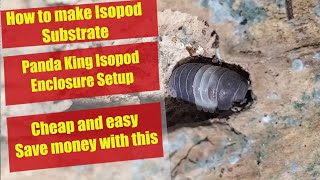 Panda King Isopod Setup  Cheap and Easy Isopod Substrate  Isopod Enclosure  Exotic Isopods