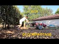 SUITE  DES PRÉPARATIONS DES TERRES À COLZAS 🌱AVEC LE DECOMPACTEUR ! -2024