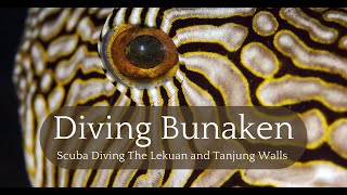 Exploring Bunakens Best: Scuba Diving The Lekuan and Tanjung Walls scubadiving northsulawesi