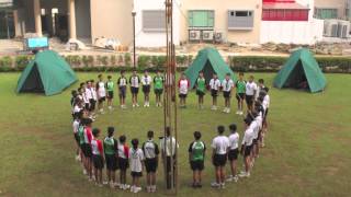 02 Scouts Photo Montage