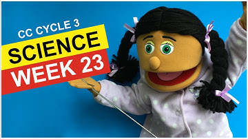 CC Cycle 3 Week 23 Science - What are some ways earth