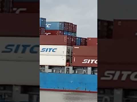 Video ???? Đi Cần Giờ mần ăn ???? - youtube