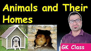 Learn about Animals and theirs Home (GK class)  /Bharat-Vikas Classes