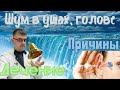 Шум в ушах причины