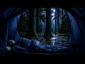 Feel the Loneliness of the Rainy Forest Tonight 🌲 Tent Rain Ambience for Deep Sleep & Stress Relief