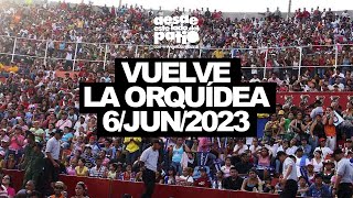 Vuelve El Festival De La Orquídea En Maracaibo | El Show De Angel David Sardi
