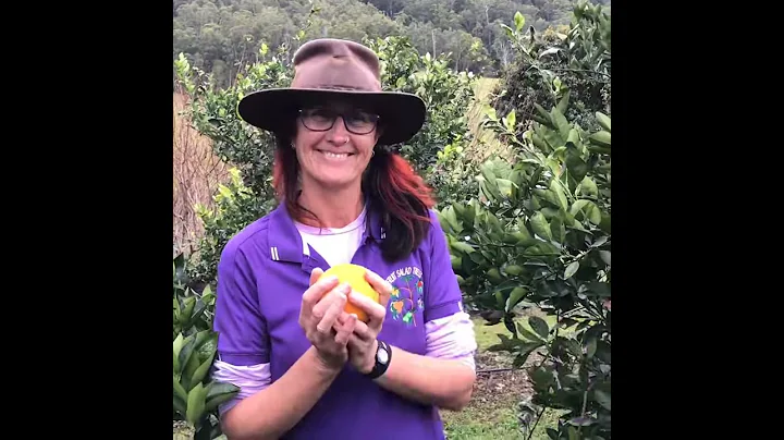 Sue talks Citrus trees that produce fruit year round - DayDayNews