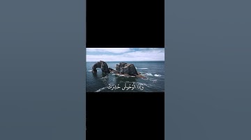 تلاوه خاشعه وارحة نفسيه من سورة التكوير بجوده عاليه #اكسبلور #المصحف #دويتو #لآيات #العظماء