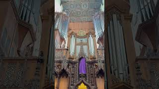 St Albans Cathedral Walking Tour 🇬🇧 | Historic Gem Near London. #travel #thewanderinglondoner
