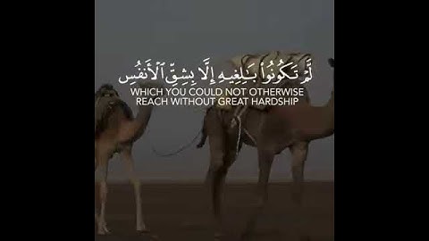 قرآن كريم بصوت الشيخ ياسر الدوسري l سورة النحل l حالات واتس اب قرآن