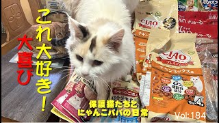 「保護猫活動」救いの手がまたまた届きました！　#保護猫活動  #cutecats  #保護猫