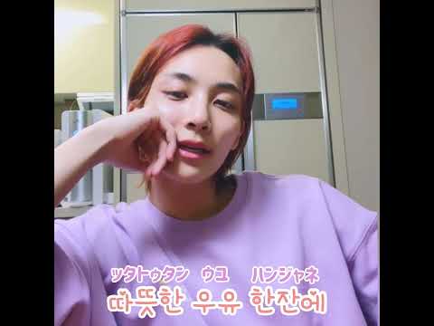 セブチ ハニ 温かい牛乳一杯 歌詞 ハングル字幕 カナルビ Shorts Youtube