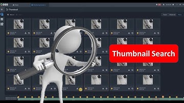 DSS V8 - Thumbnail search in the store