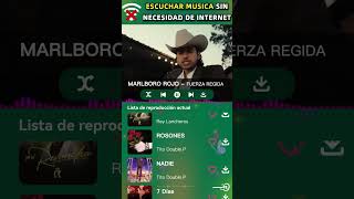 LJ01 MC01 RM01B SP 9X16 250729 MVGUNDONG14