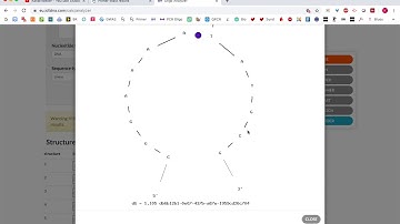 Oligo Analyzer from IDT