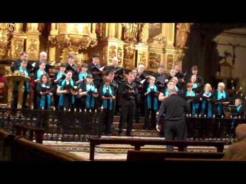 Simon Lindley: Ave Maria - sung by St Peter's Sing...