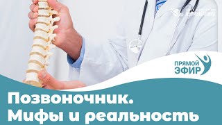 Позвоночник. Мифы и реальность