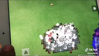 Minecraft Tiktok (goodbye 2018)