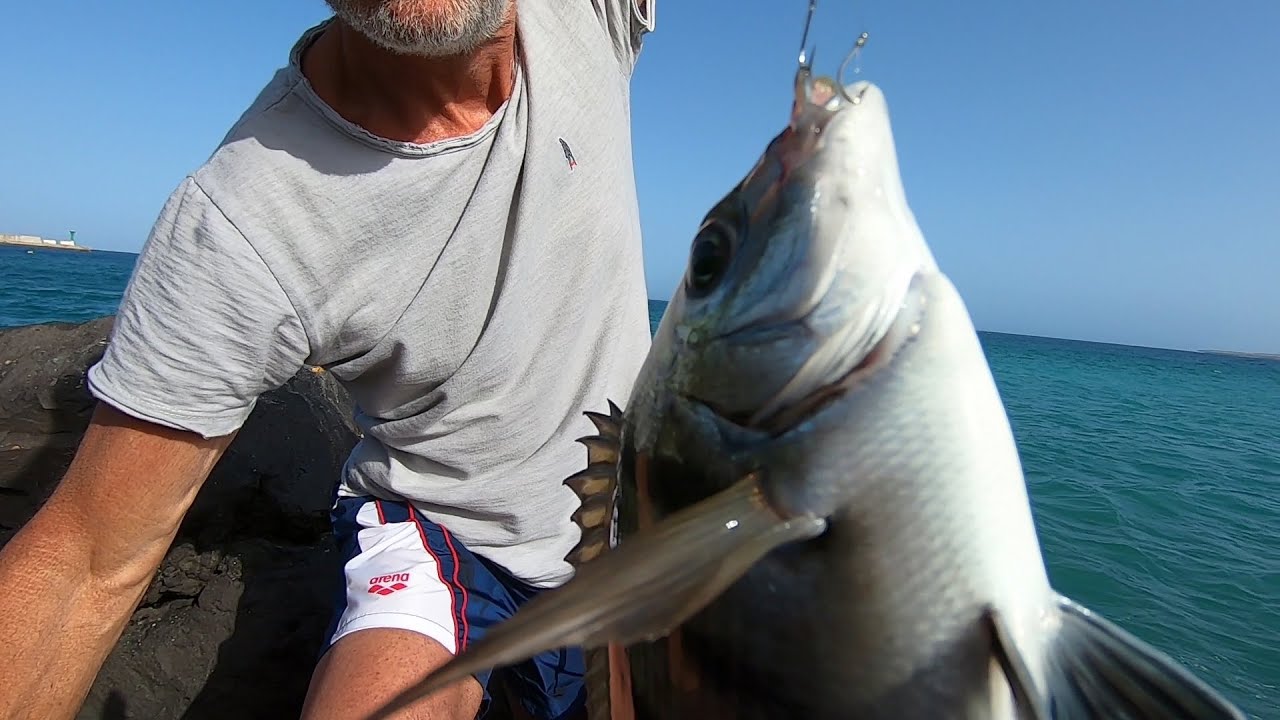 Canna Pesca Carpa Trota Fondo Galleggiante Mare Scogliera Piombi Max Grammi 100 Canna Pesca Carpa Trota Fondo Galleggiante Mare Scogliera Piombi Max Grammi 100