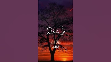 يُرِيدُ اللَّهُ بِكُمُ الْيُسْرَ وَلَا يُرِيدُ بِكُمُ الْعُسْرَ #الشيخ محمد الطبلاوي #سورة البقرة