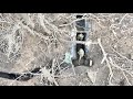 Combat footage  drone destroys russian trench