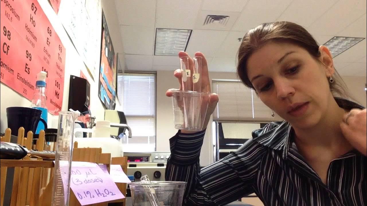 Enzymes with Spectrophotometer YouTube